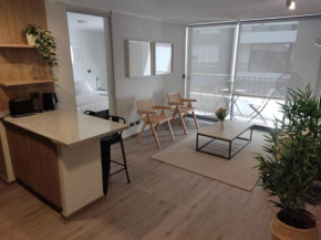 Cozy Apt in Downtown Santiago Perfect for 2